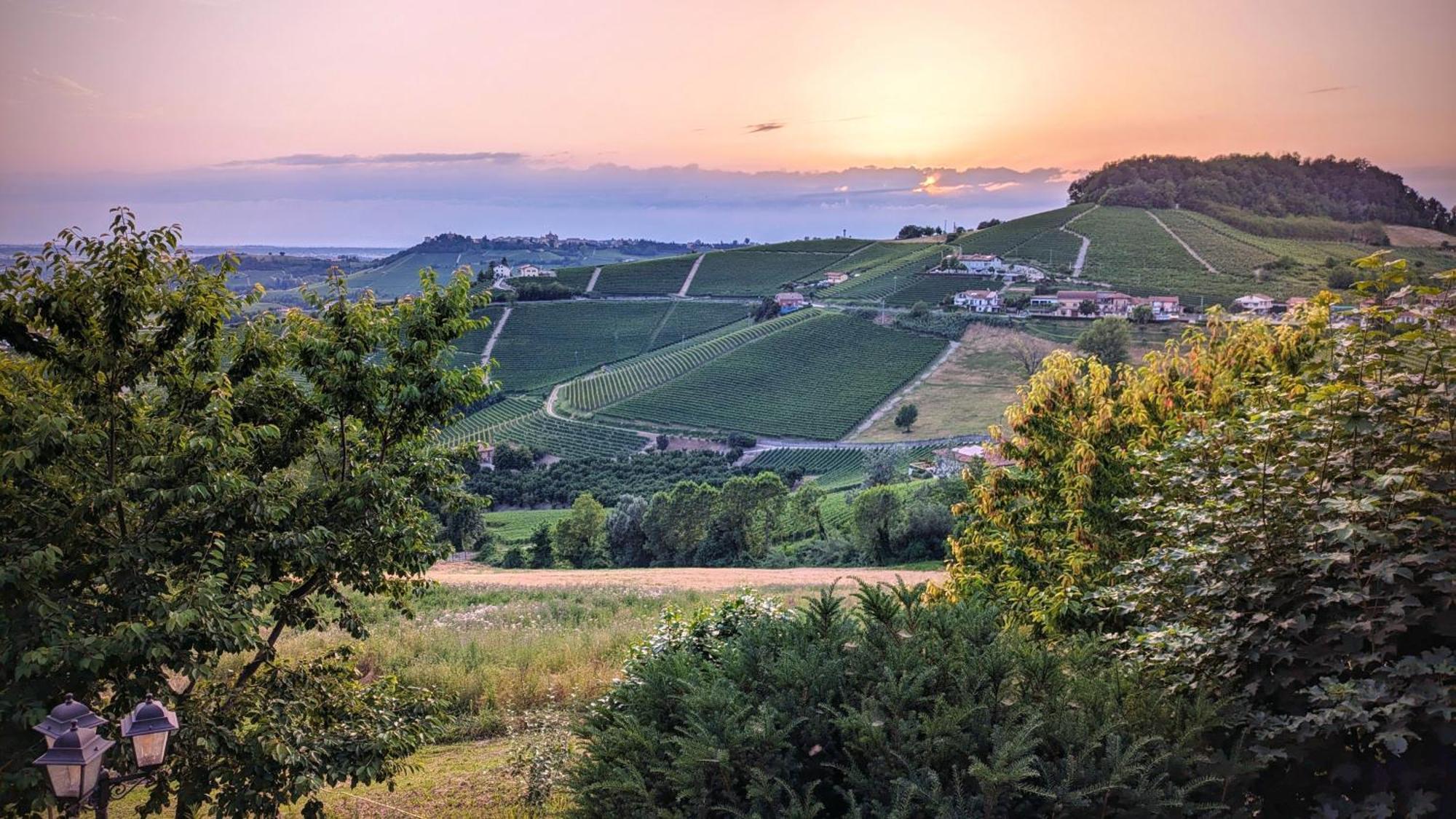ホテル Charming Barolo Wine Loft モンフォルテ・ダルバ エクステリア 写真